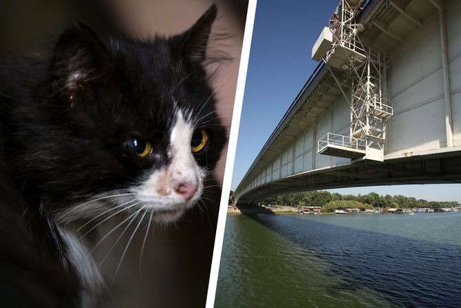 Mače - Brankov most