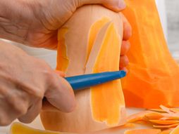 kora tikve, muskatna tikva