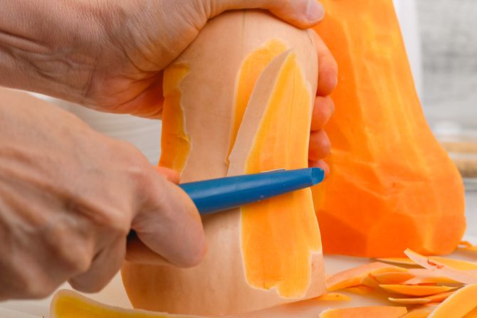 kora tikve, muskatna tikva