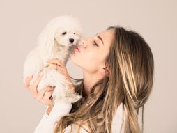 Bolonjezer bolonjski pas