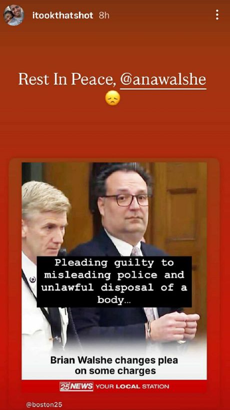 Brajan Volš Ana prijatelj