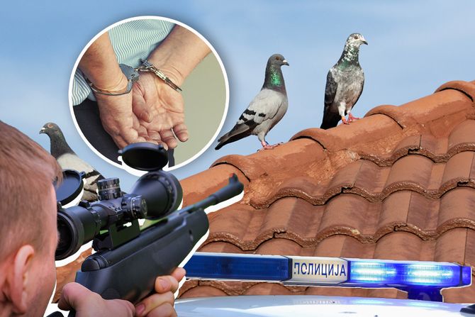 Policija, vazdušna puška, golubovi, hapšenje