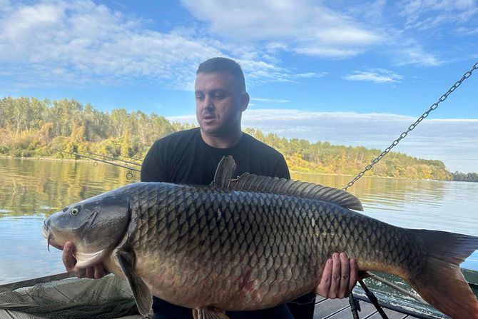 Nikola na Tisi ulovio šarana od 26 kilograma