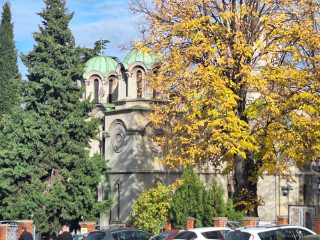 Kirovljeva 8, Banovo brdo, zarobljen pas