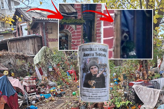 Kirovljeva 8, Banovo brdo, zarobljen pas