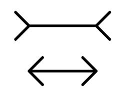 Miler Lajerova iluzija optička varka test Muller Lyer illusion