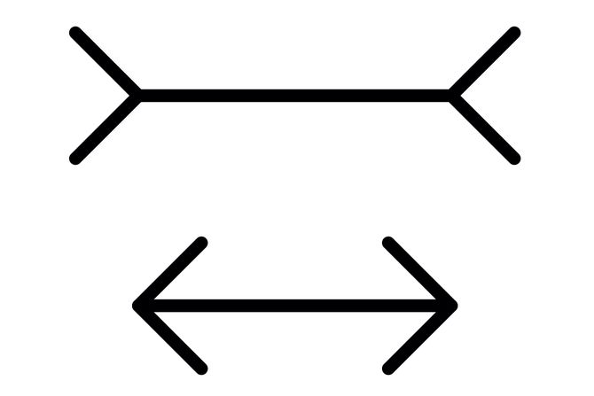 Miler Lajerova iluzija optička varka test Muller Lyer illusion