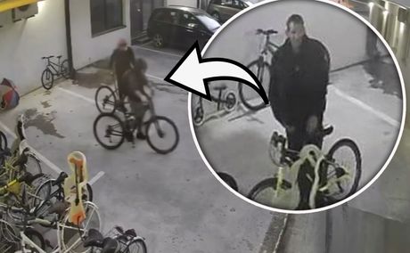 Novi Sad bicikl bicikli krađa lopov lopovi