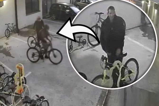 Novi Sad bicikl bicikli krađa lopov lopovi