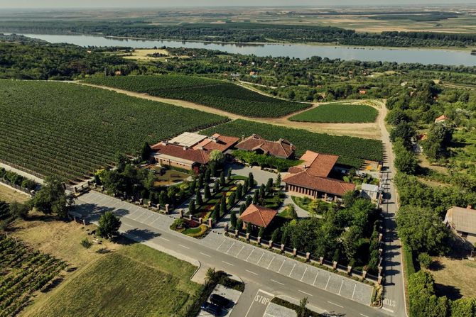 Atelje vina "Šapat"