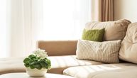 Koren truli, pupoljci otpadaju: Ovo je 10 saveta kako da održite u životu mnogima omiljenu sobnu biljku