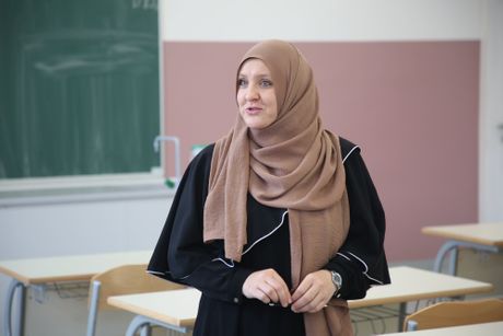 Peta osnovna škola Sarajevo, Ilidža, Bosna i Hercegovina, BiH