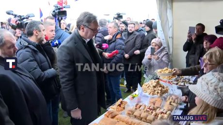 Aleksandar Vučić, Selo Jaša Tomić