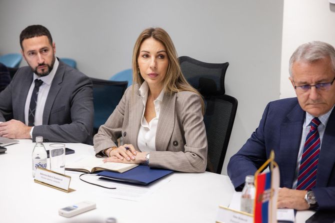 Dubravka Đedović Handanović