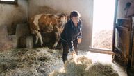 U selu kod Ljubovije žive samo najhrabriji: Slavica od jutra u štali, a sa mužem ispeče i po 100 kazana rakije