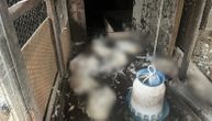 Pravi horor u selu kod Čačka! Domaćin zatekao stravičan prizor u kokošinjcu, poznato kako je nastao pokolj