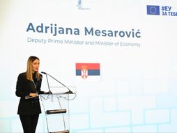 Adrijana Mesarović