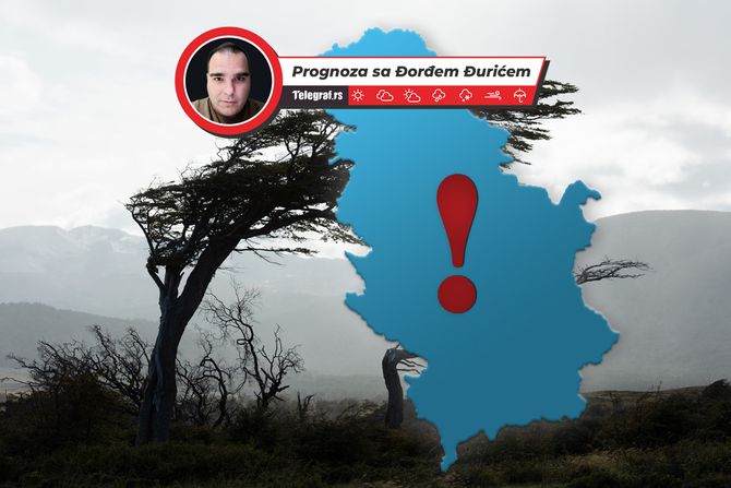 Vremenska prognoza, jak vetar , drveće, nevreme, košava, oluja