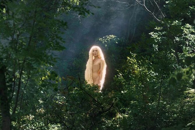 Jelena Gavrilovićn robin hud 2