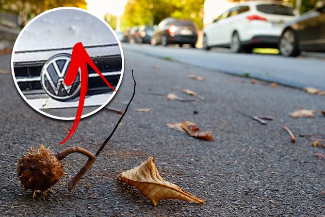 kesten, auto, ulubljenje