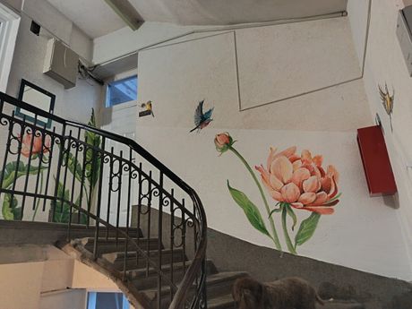 Stanari Terazijske terase, demanti, kuće