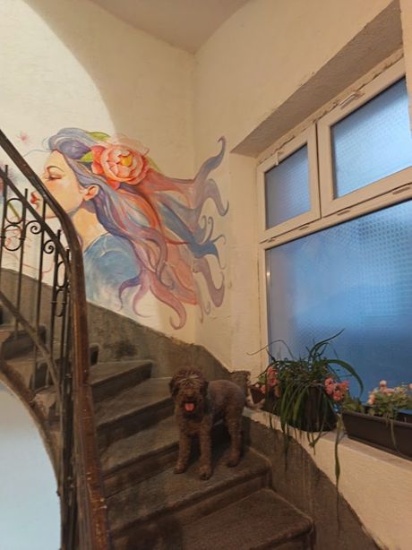 Stanari Terazijske terase, demanti, kuće