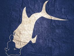 riba, čovek, optička iluzija, mozgalica