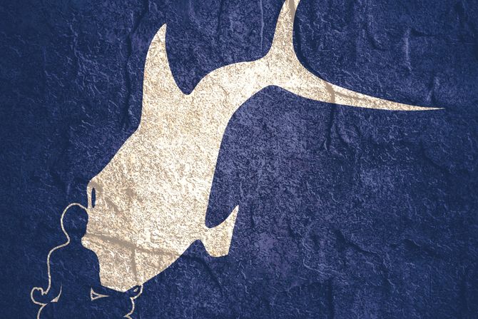 riba, čovek, optička iluzija, mozgalica