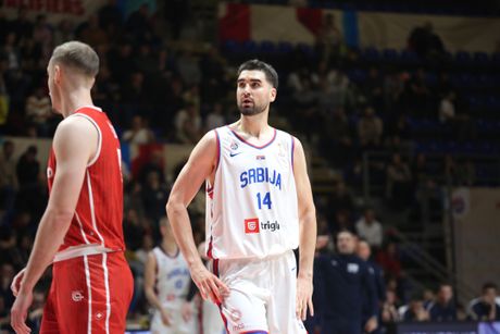 Srbija - Švajcarska, Košarka
