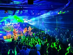 BARF13 foto Nemanja Savić