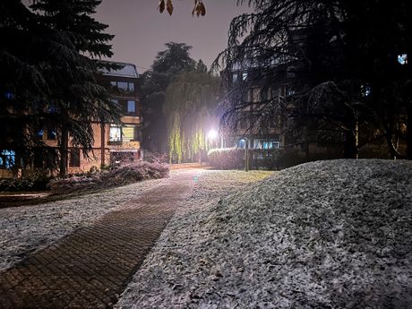 Beograd Cerak Vinogradi sneg