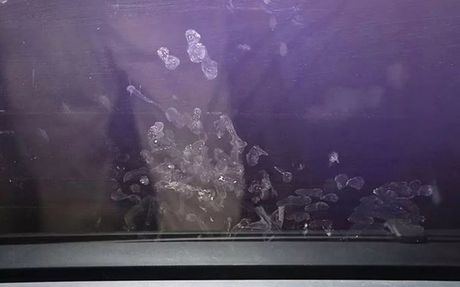 Christopher Scholtes, Parker Scholtes