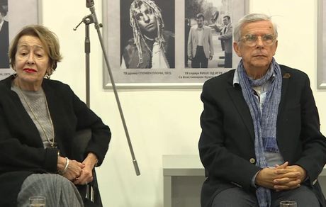 Monografija, Zoran Radmilović