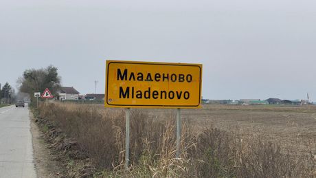 Mladenovo,stradala Branka Adamovic