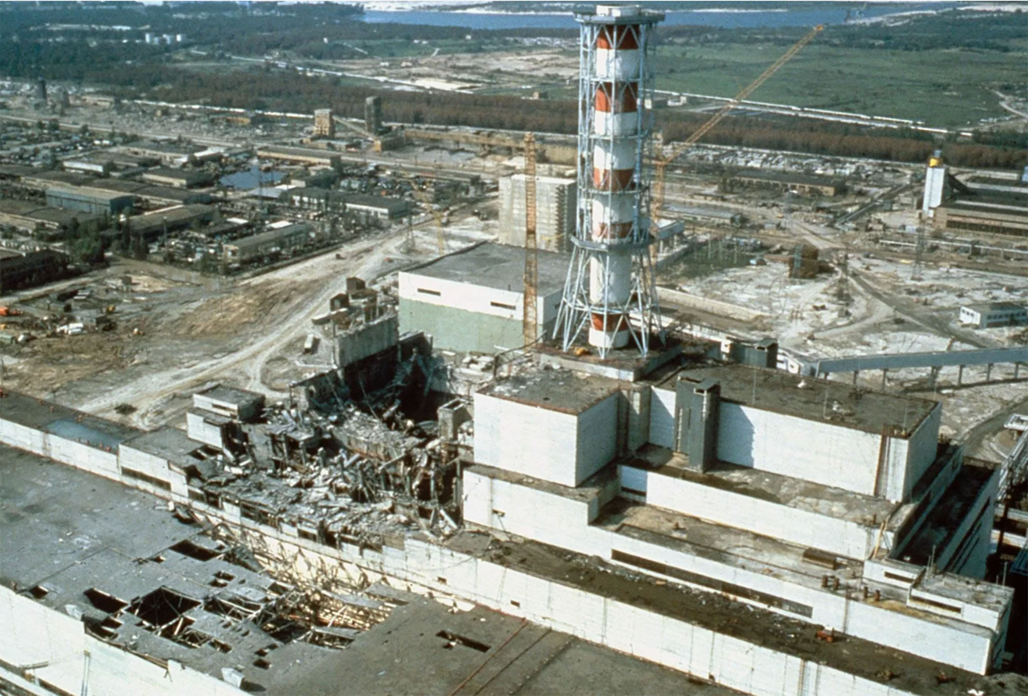 Foto-zamke uključene u zabranjenoj zoni Černobilja: Snimile čudno ponašanje životinja tokom 36 dana 2022.