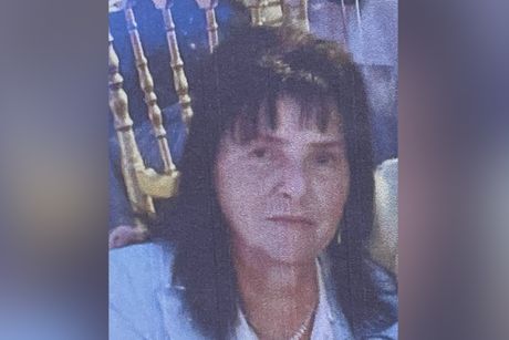 saobraćajna nesreća, Mladenovo, Vukosavka Kužić