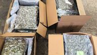 Velika akcija MUP i CARINE: Zaplenjeno preko 43 kilograma marihuane u Šidu, uhapšen vozač kamiona