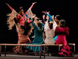 budi IGRA KOJU ŽELIŠ da vidiš,  Beogradski festival igre