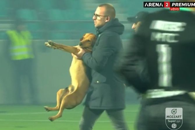 Kuče - OFK Beograd - FK Crvena zvezda