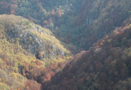 Nacionalni park Tara, Bajina Bašta