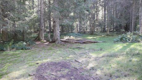 Nacionalni park Tara, Bajina Bašta