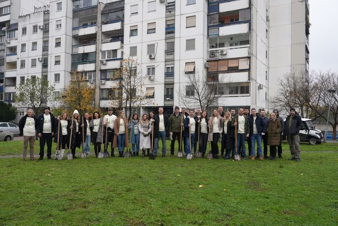 Carlsberg Srbija, Posadi svoj hlad