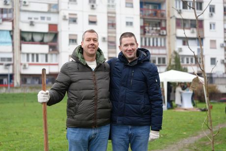 Carlsberg Srbija, Posadi svoj hlad