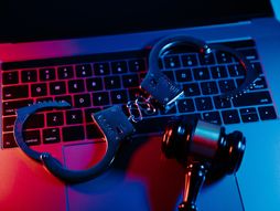 Internet, policija, sud