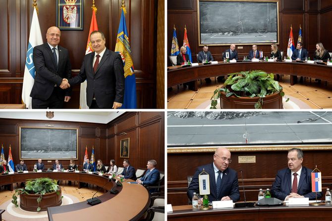 Dacic sef Misije OEBS