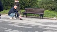 Najslađa scena na Kalemegdanu: Dok su ljudi šetali, pridružio im se krzneni, razigrani stvor, pa sve raznežio
