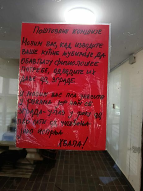 Poruka, zgrada, cerak, psi, pas