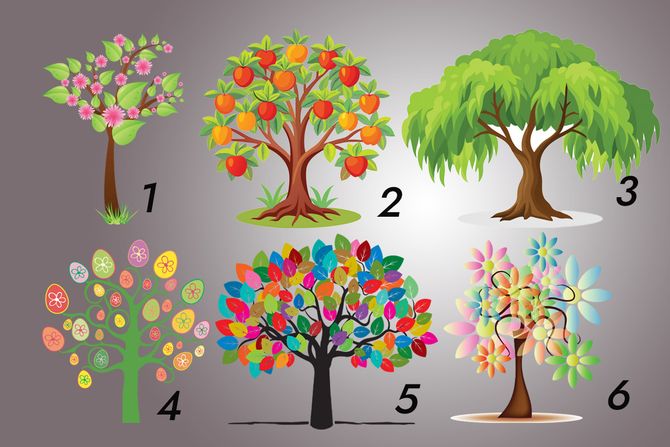 Drvo  test ličnosti