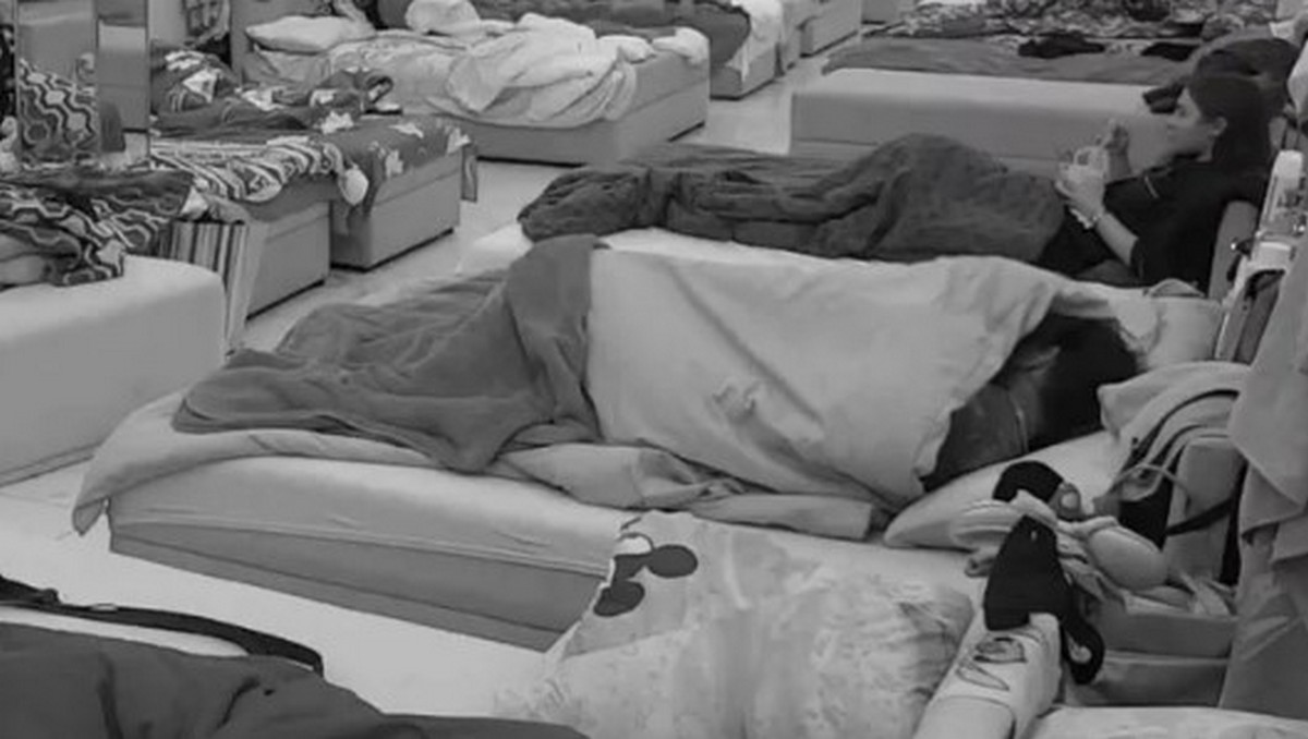 Anita i Filip se bacili u akciju pred svima!  Bez blama zadrmali krevet u punoj sobi