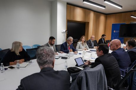 Dubravka Đedović Handanović